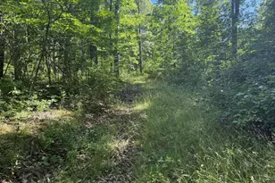 750 Hickory Corner Rd, Augusta, WV 26704 - Photo 35