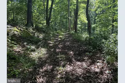 750 Hickory Corner Road, Augusta, WV 26704 - Photo 39