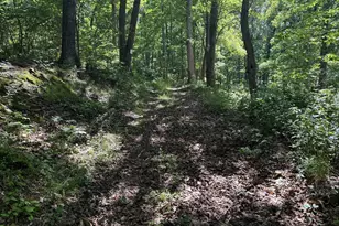 750 Hickory Corner Rd, Augusta, WV 26704 - Photo 39