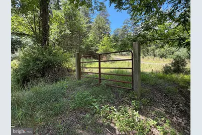 511 Chickadee Road, Purgitsville, WV 26852 - Photo 25