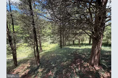 511 Chickadee Road, Purgitsville, WV 26852 - Photo 19