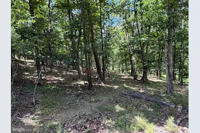 511 Chickadee Road, Purgitsville, WV 26852 - Photo 11