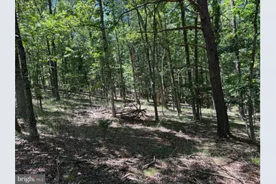 511 Chickadee Road, Purgitsville, WV 26852 - Photo 43