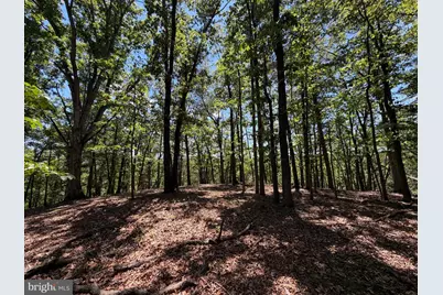 511 Chickadee Road, Purgitsville, WV 26852 - Photo 45