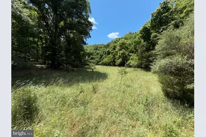 511 Chickadee Road, Purgitsville, WV 26852 - Photo 31
