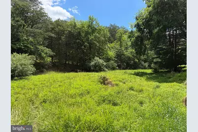 511 Chickadee Road, Purgitsville, WV 26852 - Photo 13