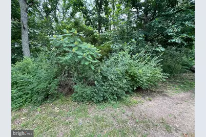 179 Angle Drive, Purgitsville, WV 26852 - Photo 15