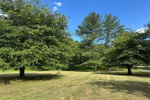 259 River Dr, High View, WV 26808 - Photo 11