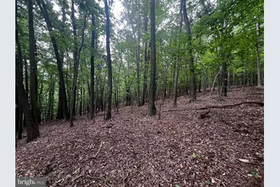 17 Reymann Drive, Yellow Spring, WV 26865 - Photo 23