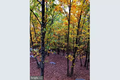 17 Reymann Drive, Yellow Spring, WV 26865 - Photo 35