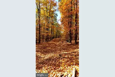 17 Reymann Drive, Yellow Spring, WV 26865 - Photo 3