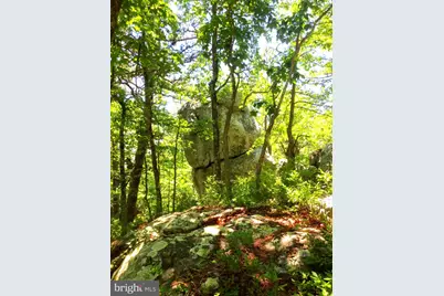 17 Reymann Drive, Yellow Spring, WV 26865 - Photo 11