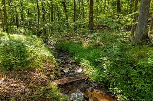1454 Pin Oak Rd, Paw Paw, WV 25434 - Photo 55