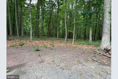 186 Bristol Springs Way, Slanesville, WV 25444 - Photo 47