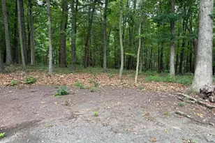 186 Bristol Springs Way, Slanesville, WV 25444 - Photo 47