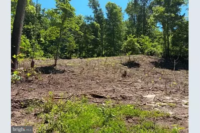 51 Cabin Road, Augusta, WV 26704 - Photo 5