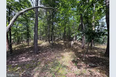 7313 Little Cacapon Road, Romney, WV 26757 - Photo 9