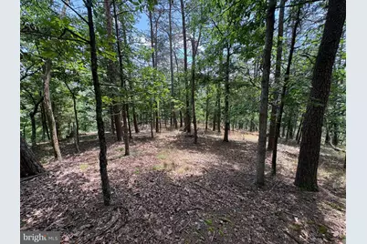 7313 Little Cacapon Road, Romney, WV 26757 - Photo 11