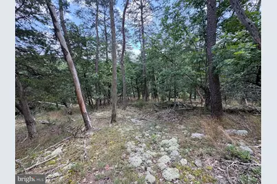 7313 Little Cacapon Road, Romney, WV 26757 - Photo 13