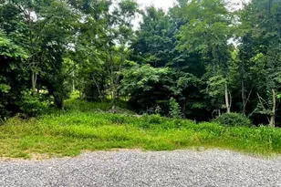 172 Majestic Ln, Springfield, WV 26763 - Photo 19