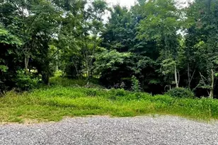 172 Majestic Ln, Springfield, WV 26763 - Photo 13