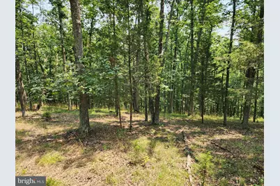 4078 Purgitsville Pike, Purgitsville, WV 26852 - Photo 63