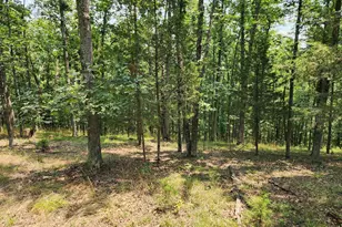 4078 Purgitsville Pike, Purgitsville, WV 26852 - Photo 63