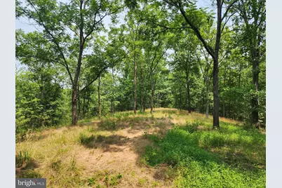 4078 Purgitsville Pike, Purgitsville, WV 26852 - Photo 65
