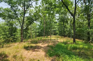 4078 Purgitsville Pike, Purgitsville, WV 26852 - Photo 65