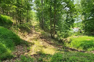 4078 Purgitsville Pike, Purgitsville, WV 26852 - Photo 71