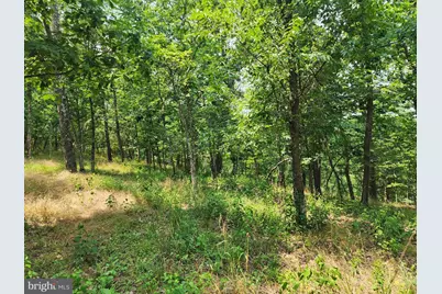 4078 Purgitsville Pike, Purgitsville, WV 26852 - Photo 67