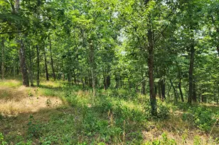 4078 Purgitsville Pike, Purgitsville, WV 26852 - Photo 67