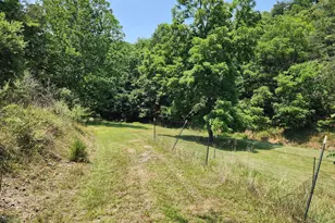 4078 Purgitsville Pike, Purgitsville, WV 26852 - Photo 53
