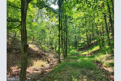 4078 Purgitsville Pike, Purgitsville, WV 26852 - Photo 69
