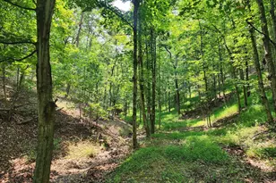 4078 Purgitsville Pike, Purgitsville, WV 26852 - Photo 69
