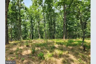 4078 Purgitsville Pike, Purgitsville, WV 26852 - Photo 61