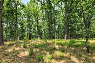 4078 Purgitsville Pike, Purgitsville, WV 26852 - Photo 61