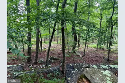 Tr D-15 Deer Path Road, Augusta, WV 26704 - Photo 5