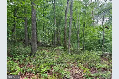 Tr D-15 Deer Path Road, Augusta, WV 26704 - Photo 11