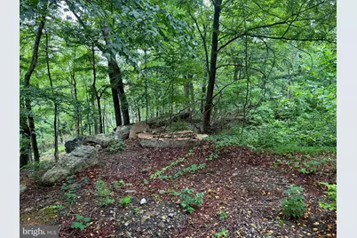 Tr D-15 Deer Path Road, Augusta, WV 26704 - Photo 1
