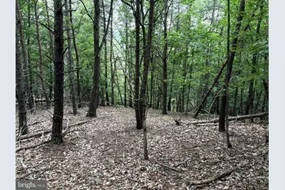 Lot 126 Bluffs Blue Beach Road, Springfield, WV 26763 - Photo 11
