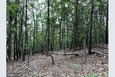 Lot 126 Bluffs Blue Beach Road, Springfield, WV 26763 - Photo 9
