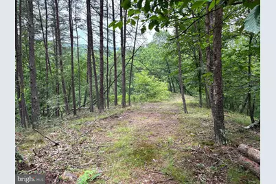 Lot 126 Bluffs Blue Beach Road, Springfield, WV 26763 - Photo 1