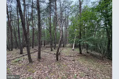 Lot 126 Bluffs Blue Beach Road, Springfield, WV 26763 - Photo 17