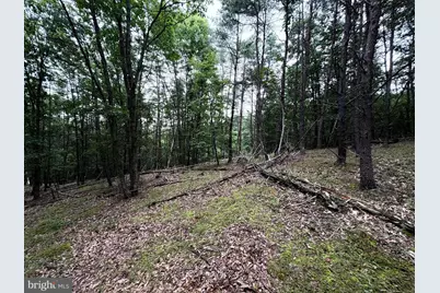 Lot 126 Bluffs Blue Beach Road, Springfield, WV 26763 - Photo 13