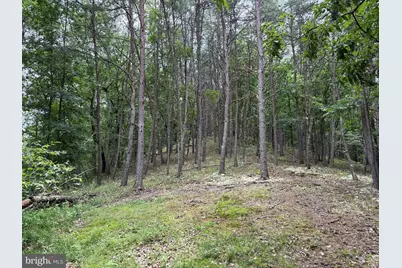 Lot 126 Bluffs Blue Beach Road, Springfield, WV 26763 - Photo 5