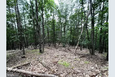 Lot 126 Bluffs Blue Beach Road, Springfield, WV 26763 - Photo 15