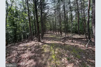 14 Shadow Knolls, Springfield, WV 26763 - Photo 19