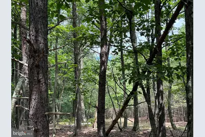 14 Shadow Knolls, Springfield, WV 26763 - Photo 13