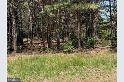 Lots 88 Orndorff Way, Yellow Spring, WV 26865 - Photo 11